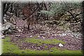 PB121631.JPG