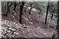 PB121632.JPG