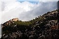 PB121636.JPG