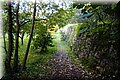 PB121650.JPG