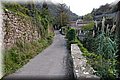 PB121654.JPG
