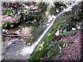 Imagen 033.jpg