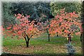 PB151709.JPG