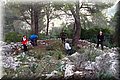 PB262031.JPG