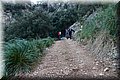 PB262048.JPG