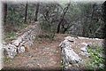 PB262161.JPG