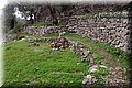 PB262167.JPG