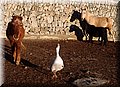 PC032524.JPG