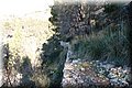 PC032546.JPG
