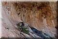 PC032550.JPG