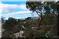 PC032578.JPG
