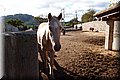 PC032588.JPG
