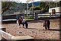 PC032590.JPG