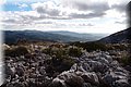 PC103301.JPG