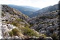 PC103307.JPG