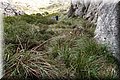 PC103311.JPG