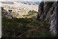 PC103312.JPG