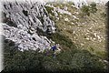PC103316.JPG