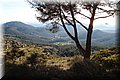 PC103325.JPG