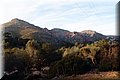 PC103334.JPG