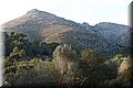 PC103336.JPG