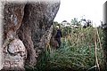 PC173355.JPG