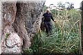 PC173356.JPG