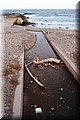 PC173364.JPG