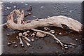 PC173365.JPG