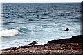 PC173369.JPG