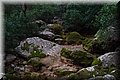PC173375.JPG