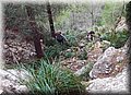 PC173380.JPG