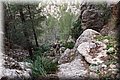 PC173381.JPG