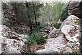 PC173382.JPG