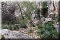 PC173386.JPG