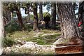 PC173397.JPG
