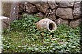 PC173399.JPG