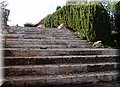 PC173427.JPG