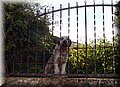 PC173430.JPG