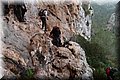 PC203485.JPG