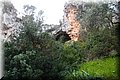 PC203517.JPG