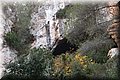 PC203519.JPG