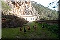 PC203541.JPG