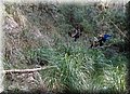 PC203550.JPG