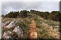 PC203556.JPG
