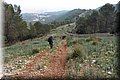 PC203560.JPG