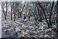 PC273725.JPG
