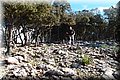 PC273760.JPG
