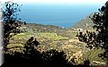 PC273804.JPG
