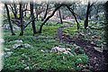 PC273813.JPG